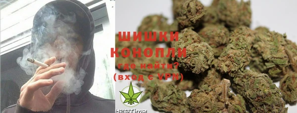 PSILOCYBIN Алексеевка