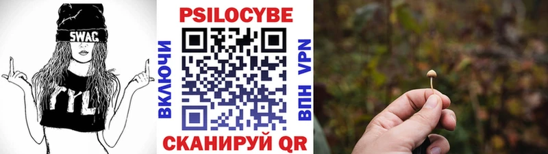 Псилоцибиновые грибы ЛСД  кракен маркетплейс  Котельнич 